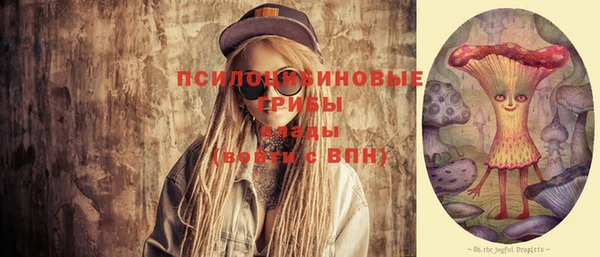 эйфоретик Пересвет